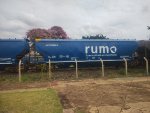 RUMO HTT-065606-2
